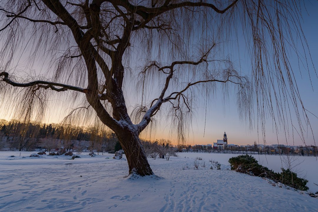 MA_web22_2021-02-12 [Property HTWS][_DAN1954_1080px_72dpi]6