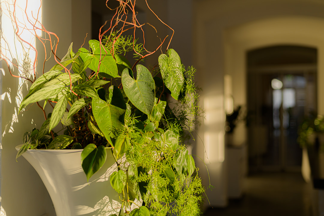 MA_web22_2021-02-12 [Property HTWS][_DAN2035_1080px_72dpi]18